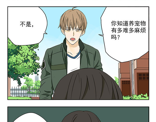 晞光 家庭新成员 第20页