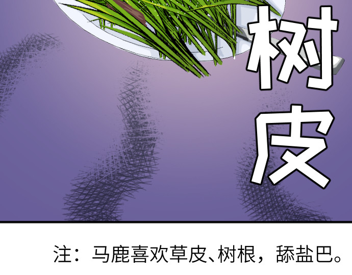 造面师 随便什么的最难搞了！ 第74页