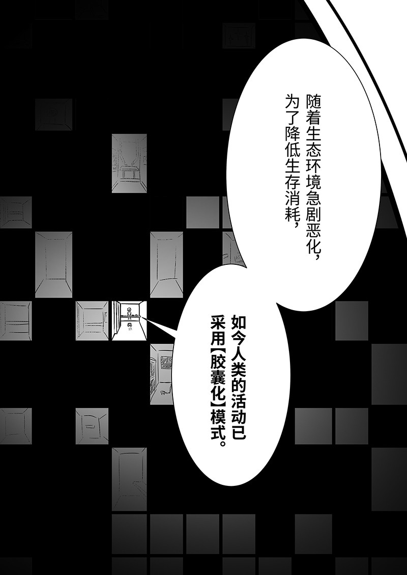 CAPSULE 第6页