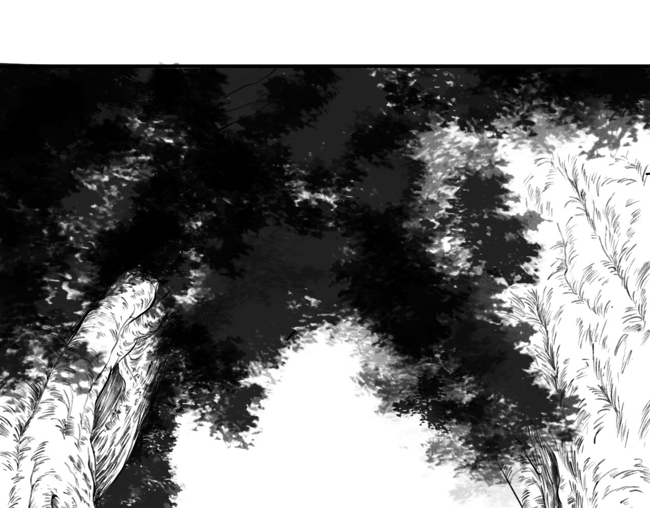 花儿 第1页