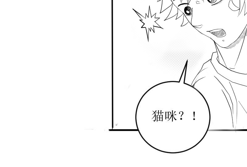 云流 特莱茵（上） 第72页