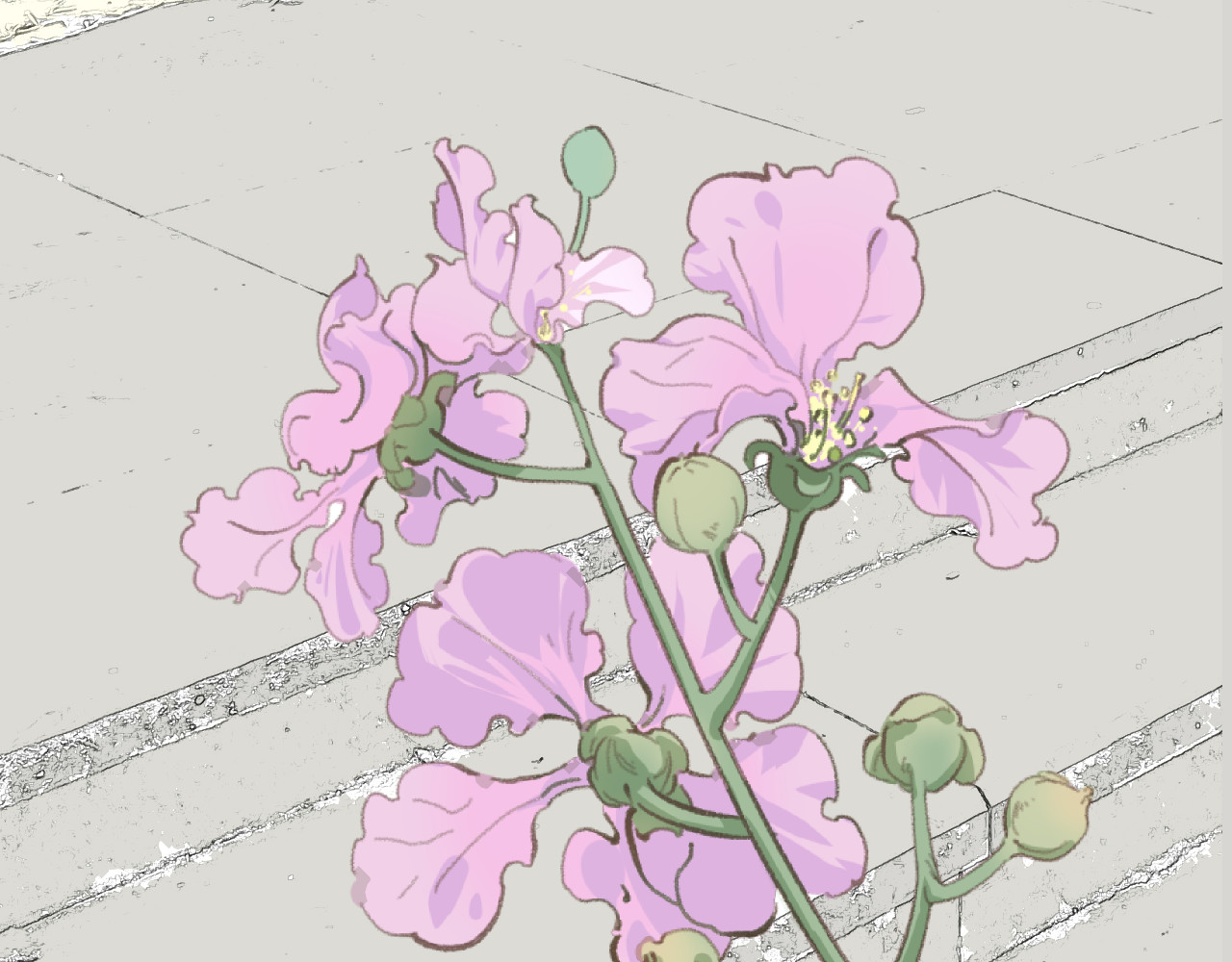 那时 那时的你 第31页