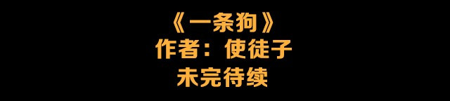 一条狗 一条狗#3 互换之旅 第15页