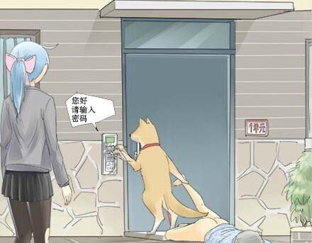 一条狗 一条狗#5 谁让你脱裤子的 第13页