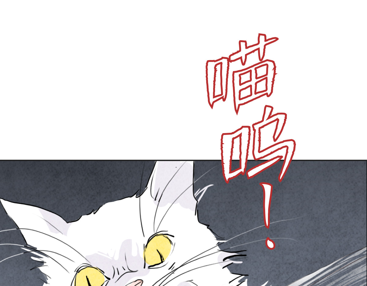 饲主 1 第37页