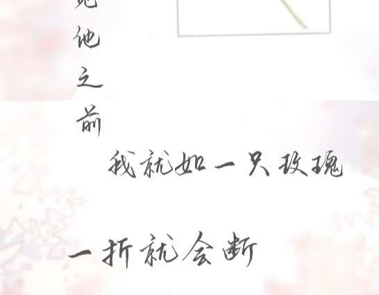 沉堕 第5页