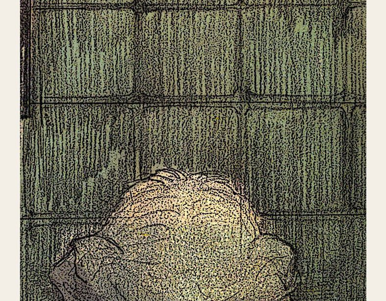 《鱼缸》 03/开端（上） 第32页