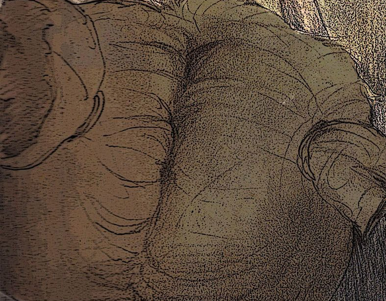 《鱼缸》 03/开端（上） 第37页