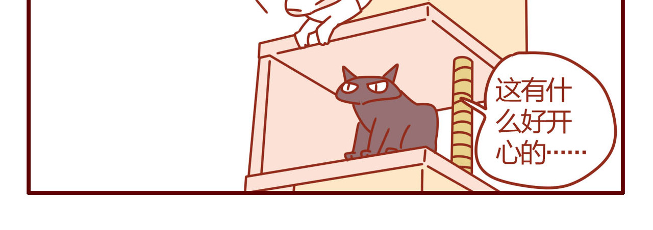 猫咪甜品屋 第一话 第40页