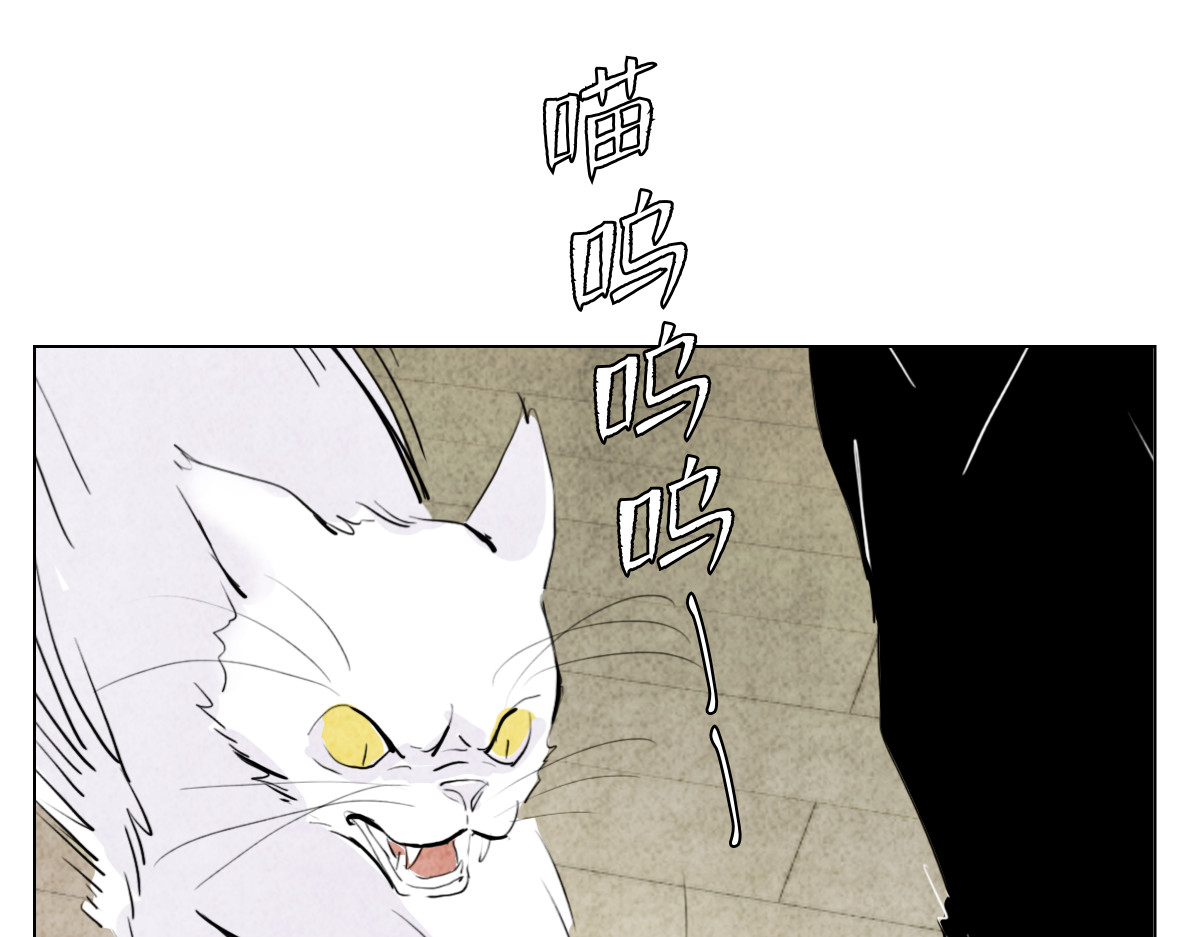 饲主 3 第31页