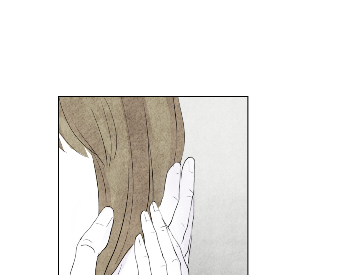 饲主 3 第74页