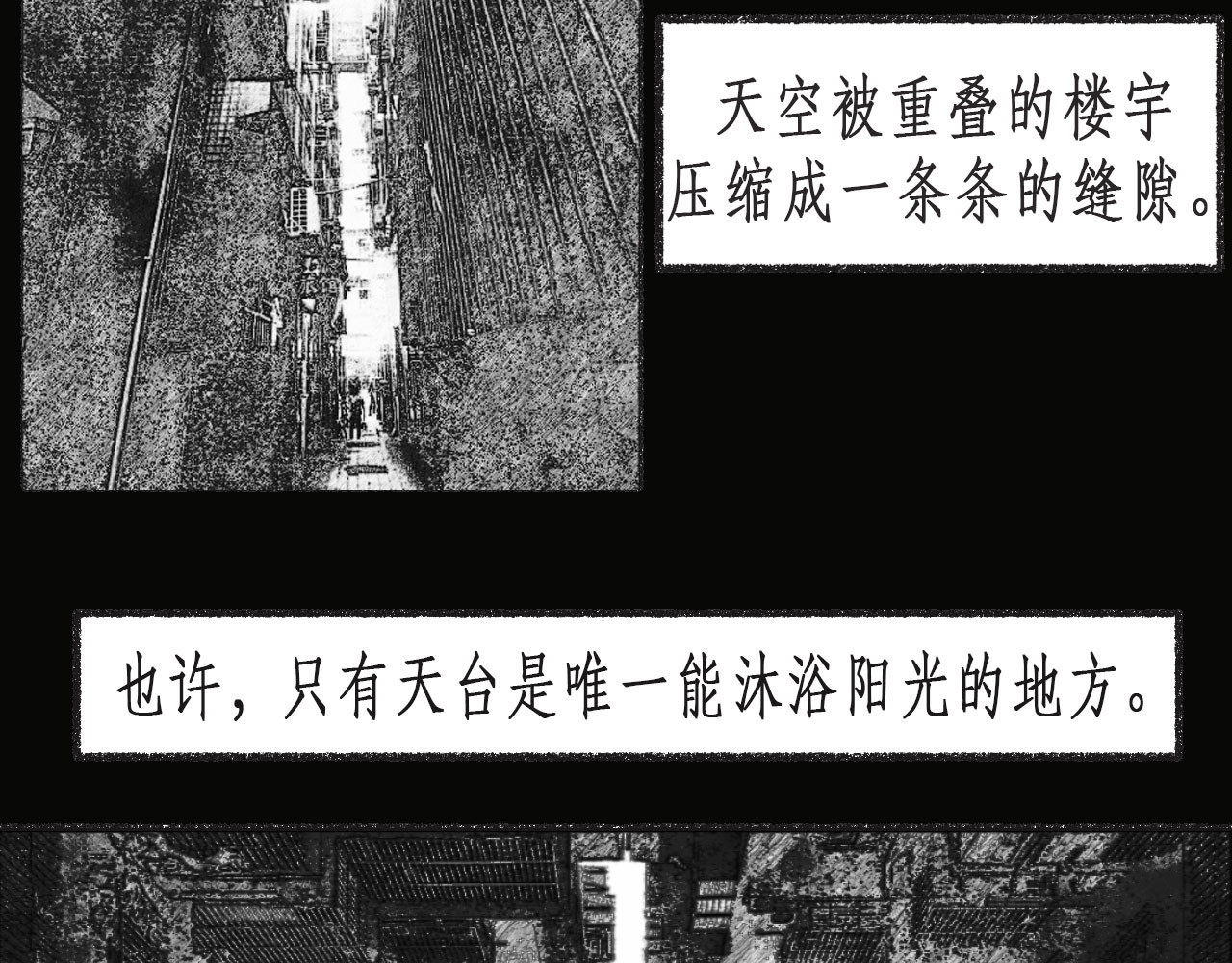 梦蝶 楼顶上有什么？ 第31页