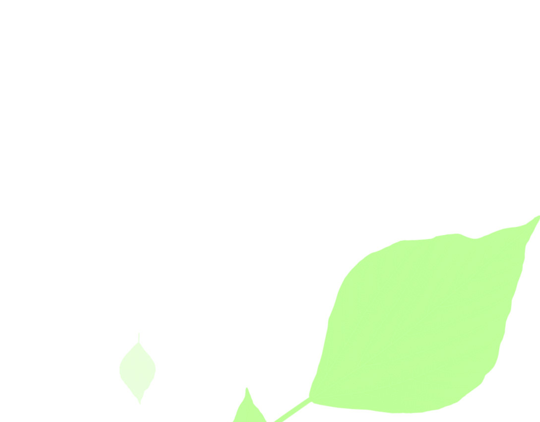 Only For You 前言 第24页