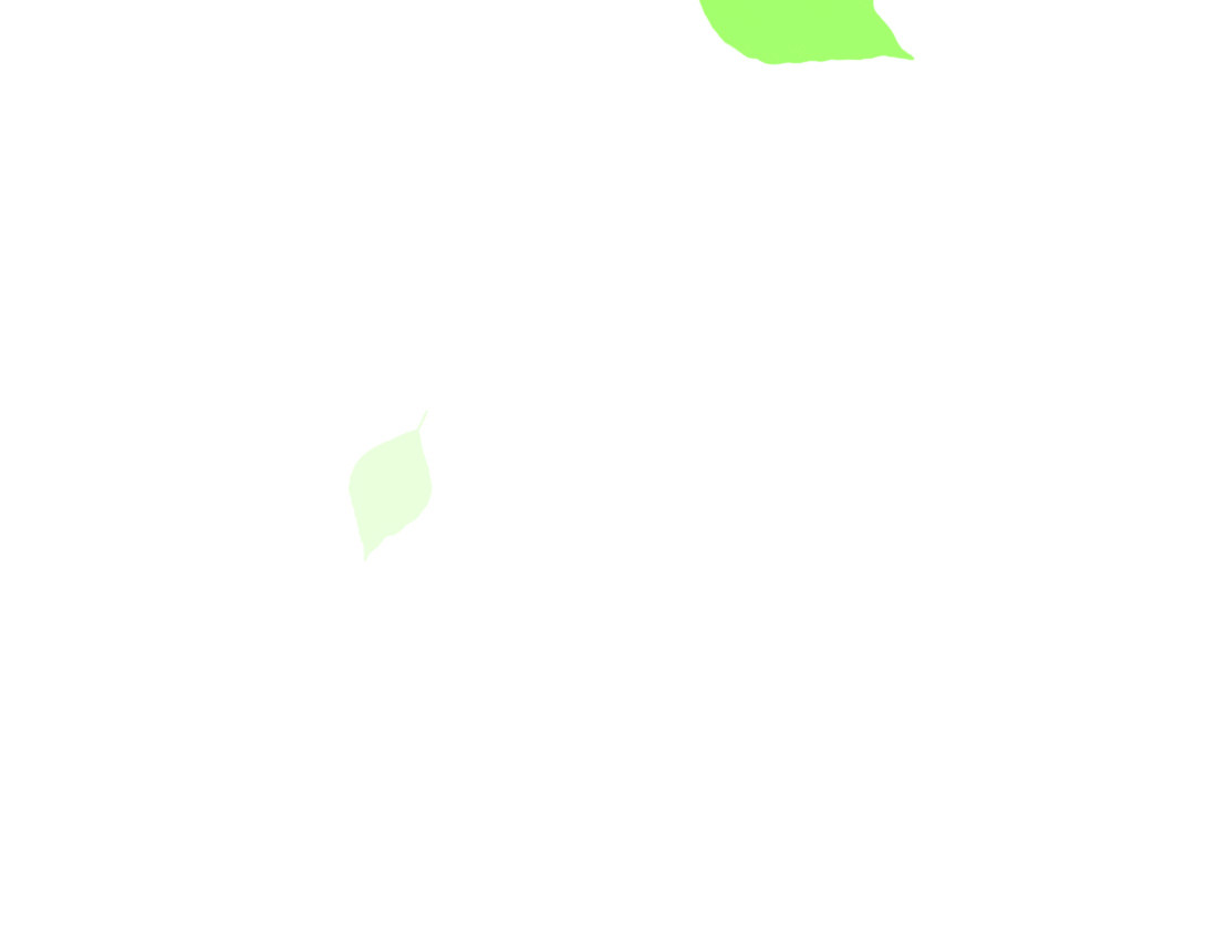 Only For You 前言 第37页