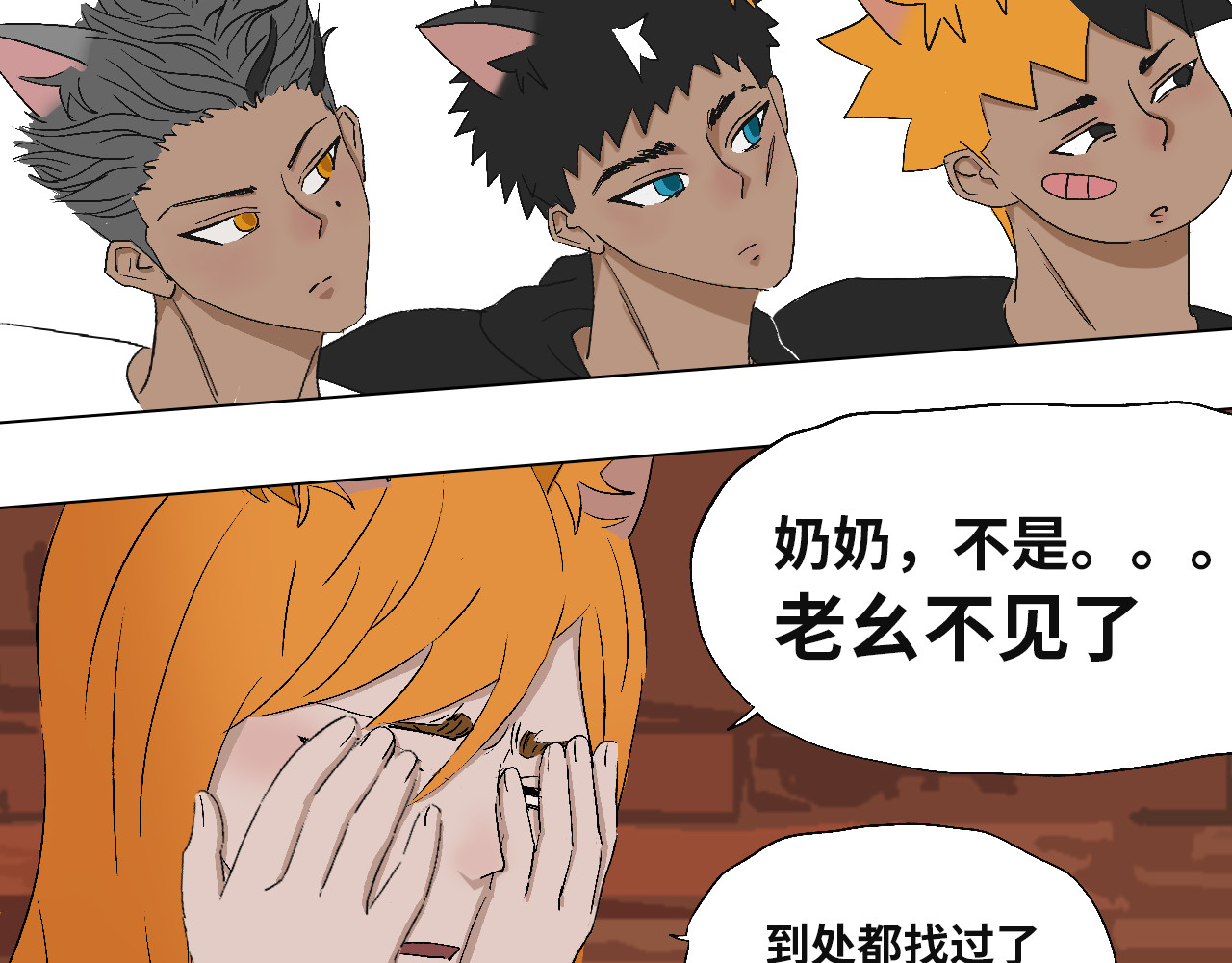 31只猫 不见了 第30页