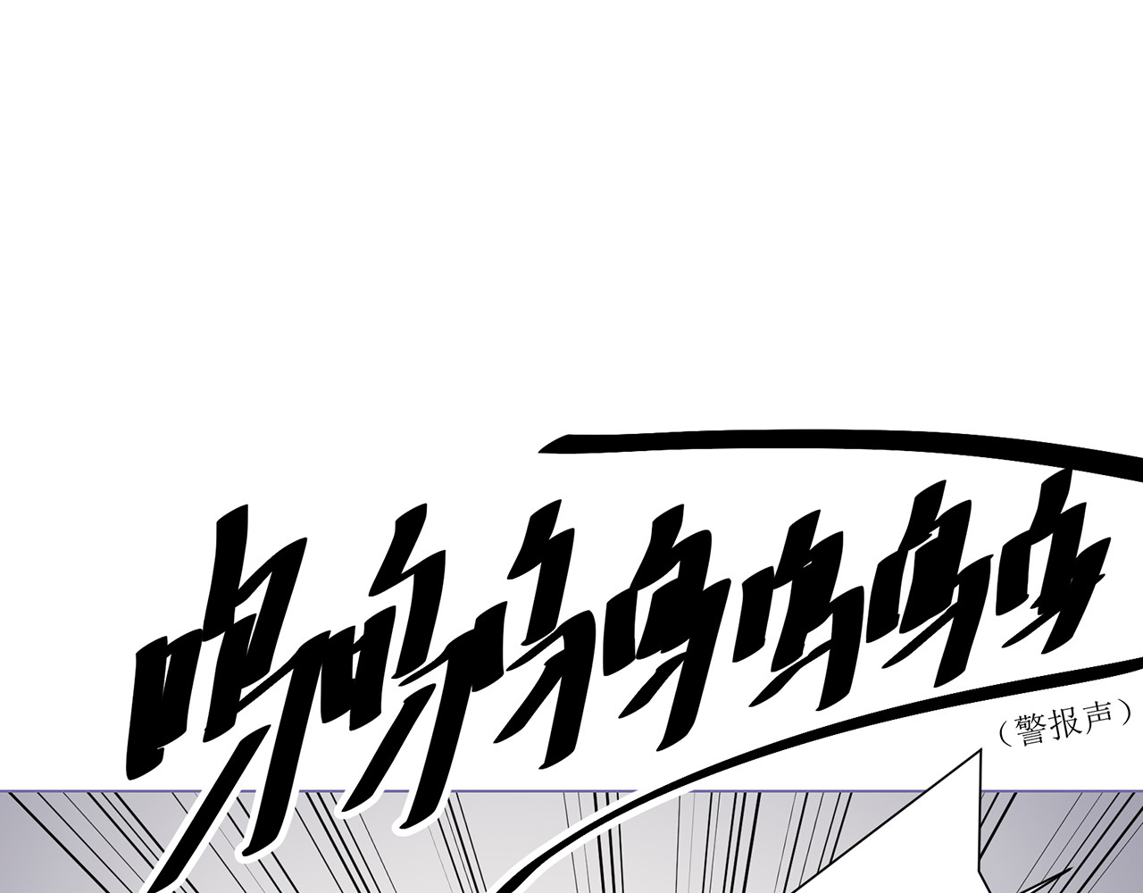 神鸟 神鸟一 第75页