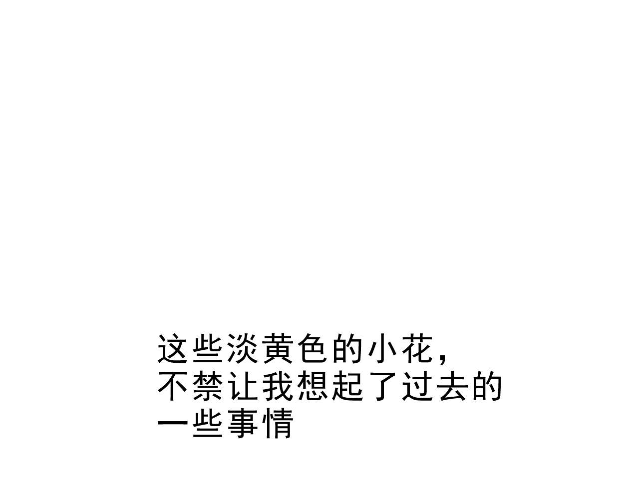 雏菊 送你一朵小雏菊 第90页