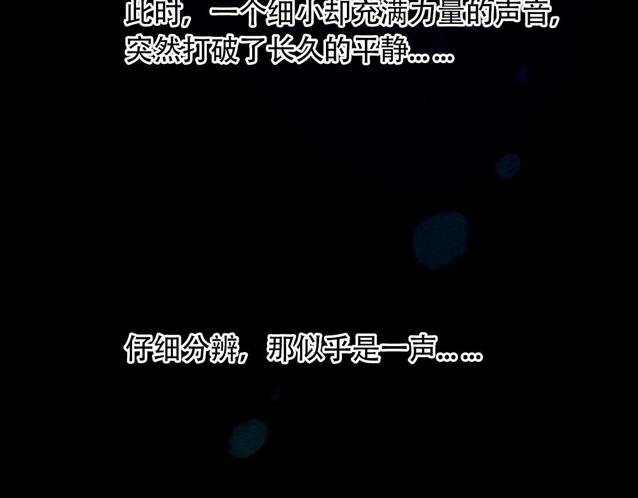 五只猫 第3页