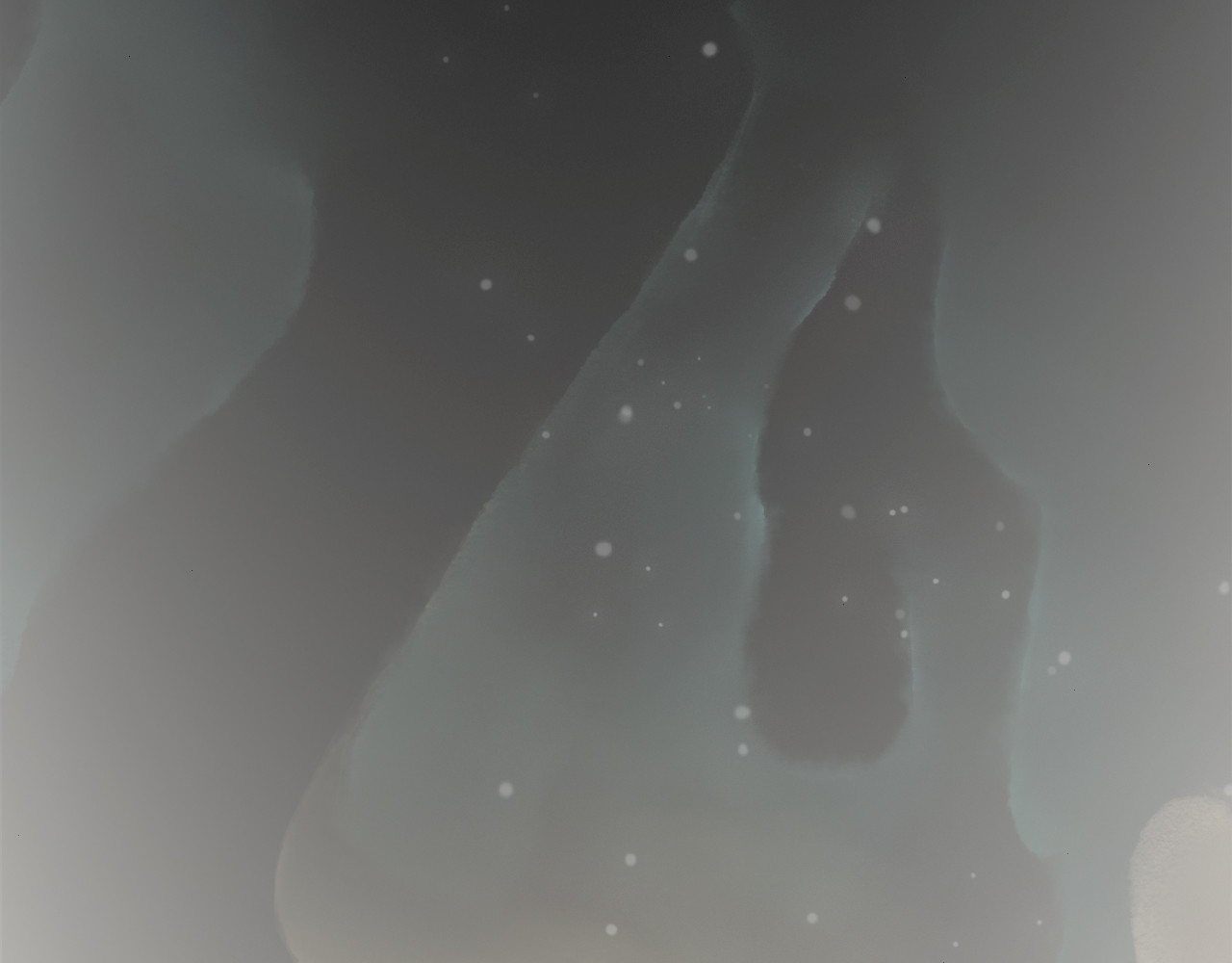 五只猫 第7页