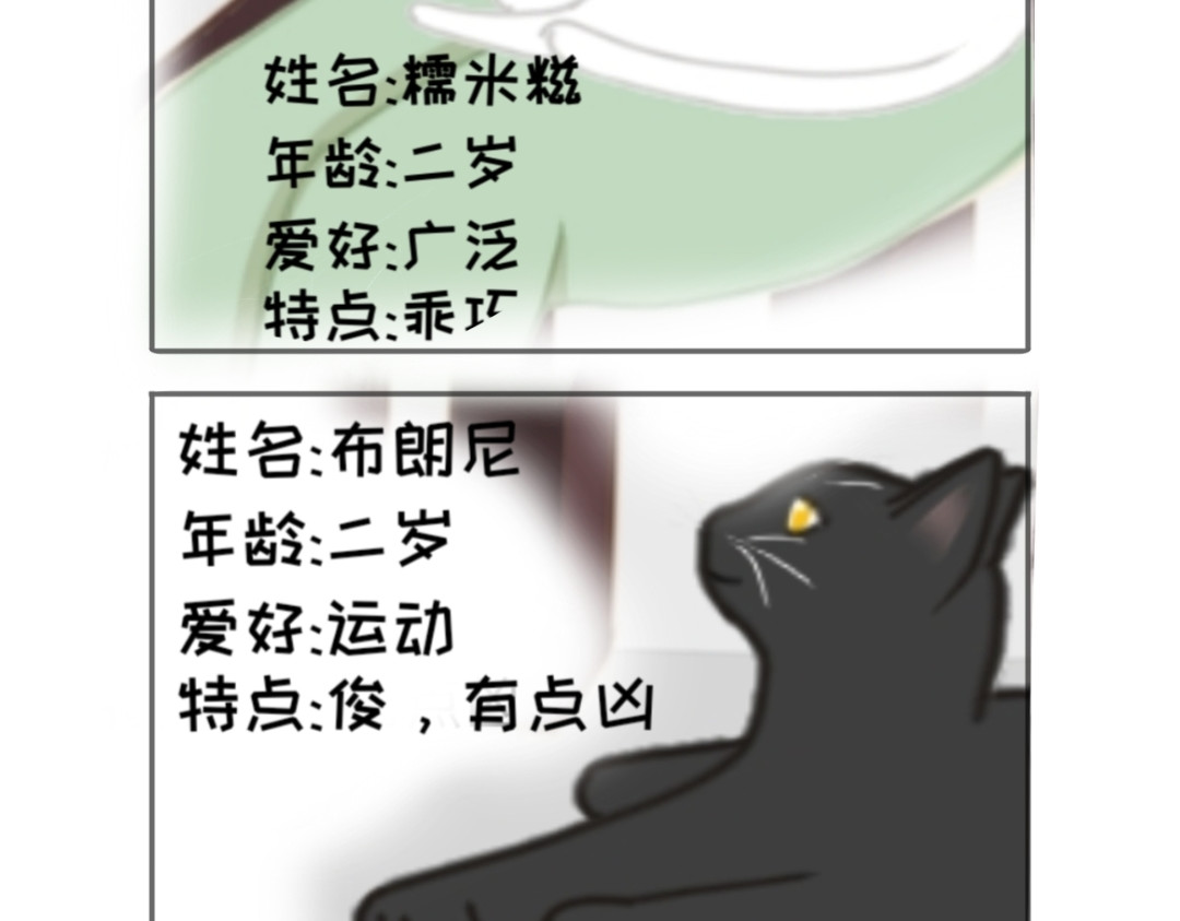 萌猫日常 第2页