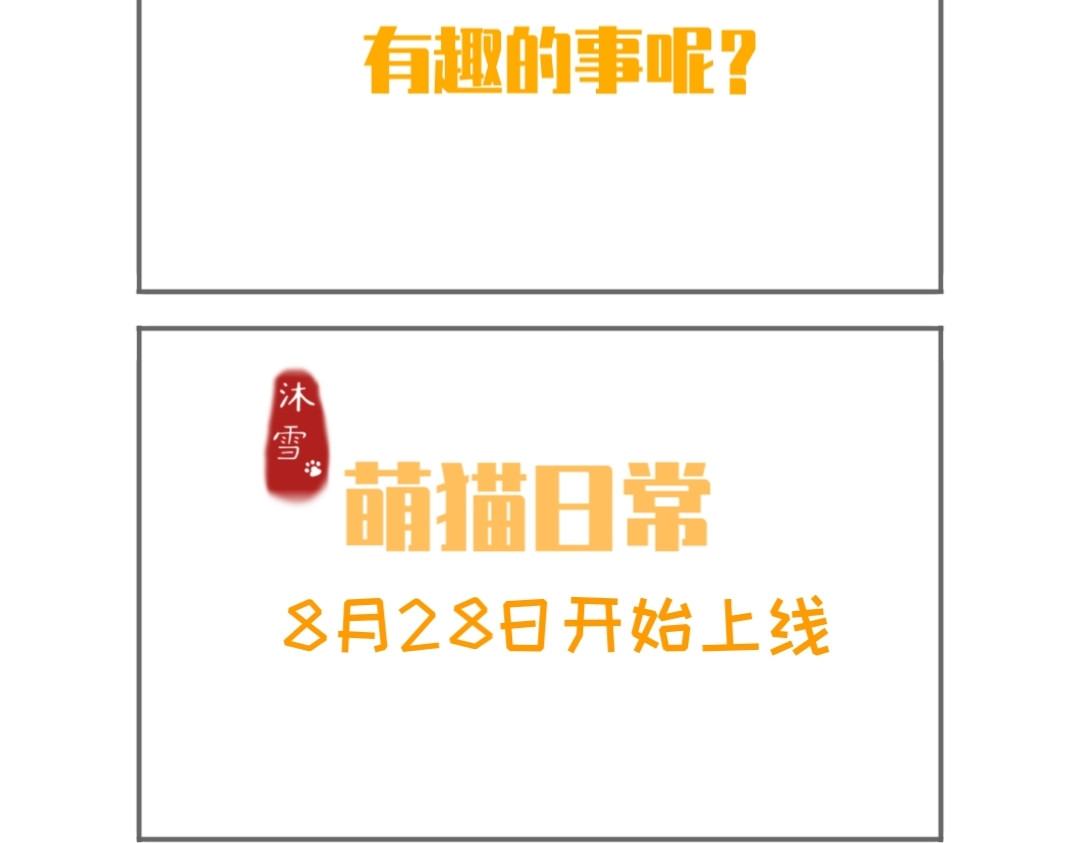 萌猫日常 第4页
