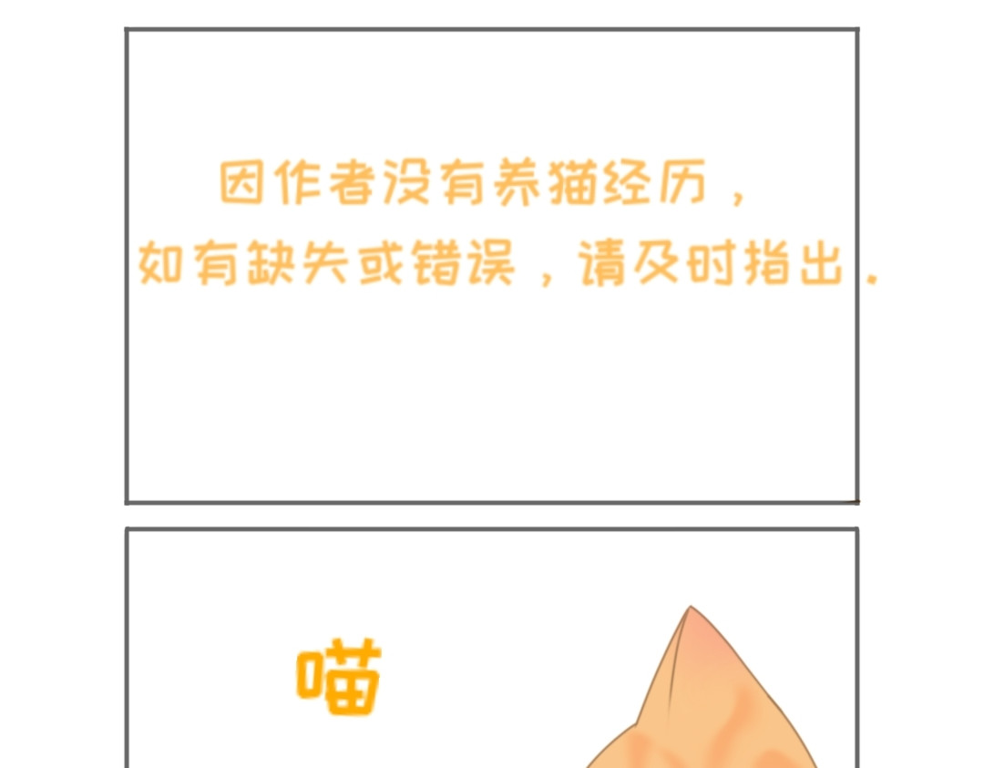 萌猫日常 第5页