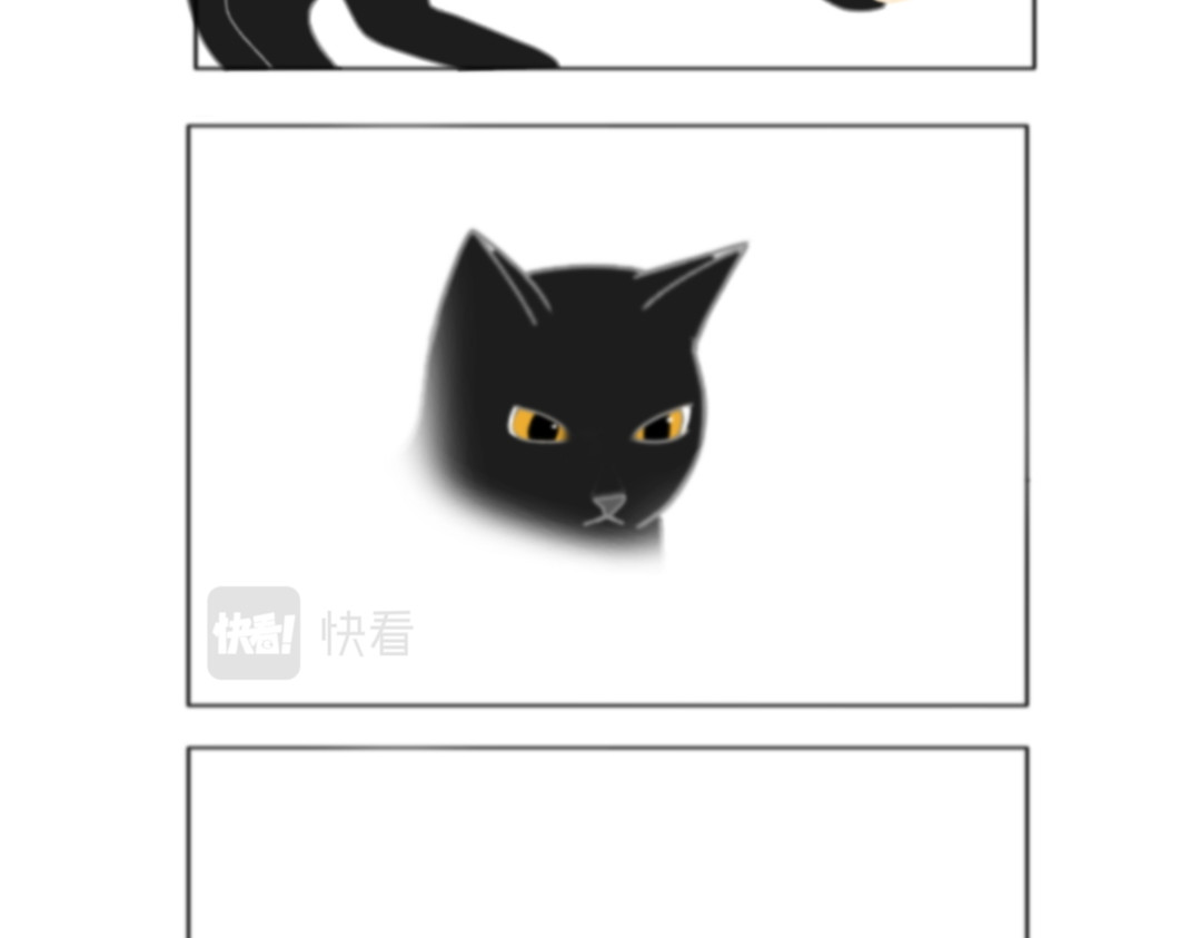 萌猫日常 第8页