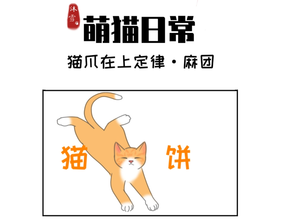 萌猫日常 猫爪在上定律·麻团 第1页