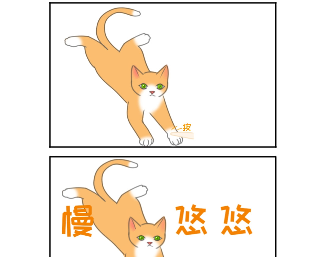 萌猫日常 猫爪在上定律·麻团 第2页