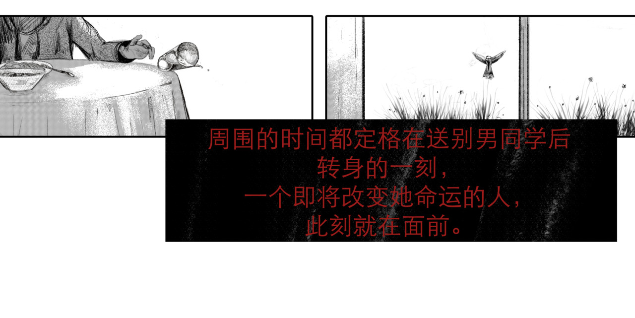 牲畜 附加内容 第6页