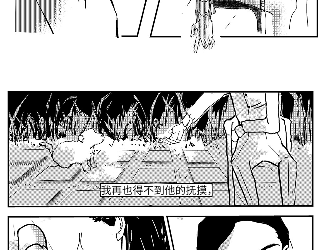 只影 一、死亡与眼泪 第12页