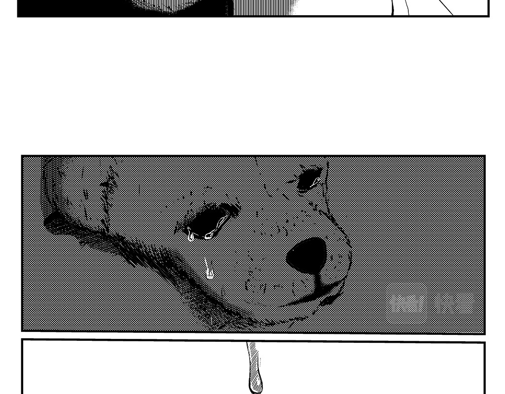 只影 一、死亡与眼泪 第16页