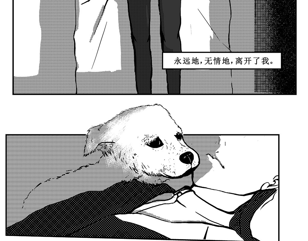 只影 第8页