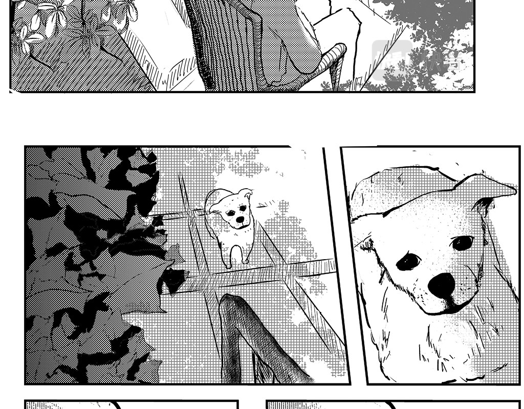 只影 一、死亡与眼泪 第10页