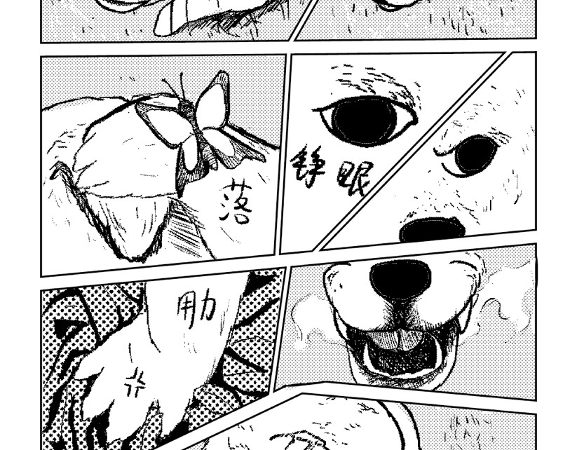 只影 二、蝴蝶与你 第5页