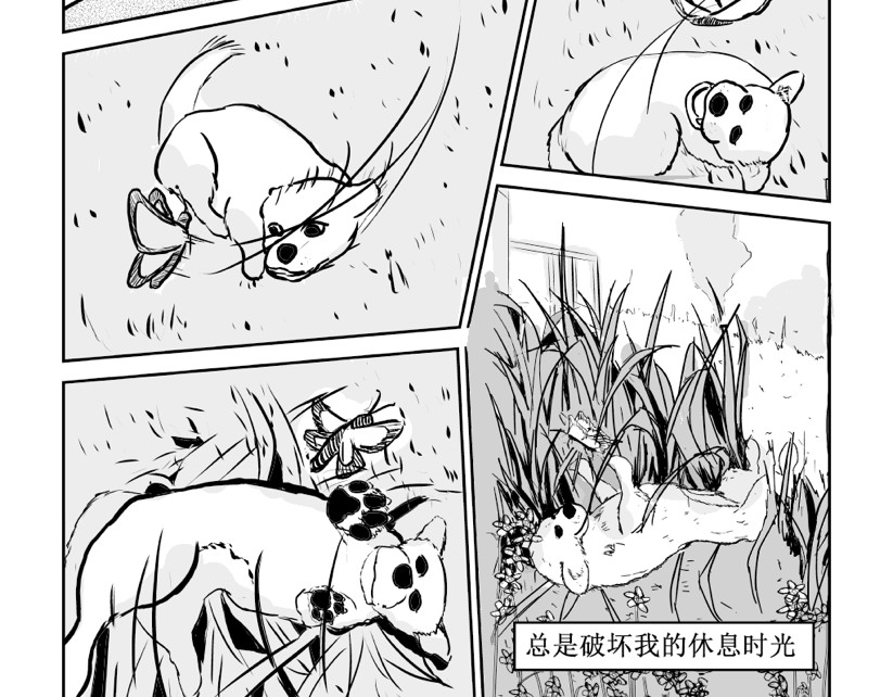 只影 二、蝴蝶与你 第7页