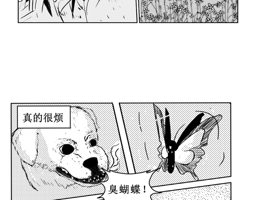 只影 二、蝴蝶与你 第8页