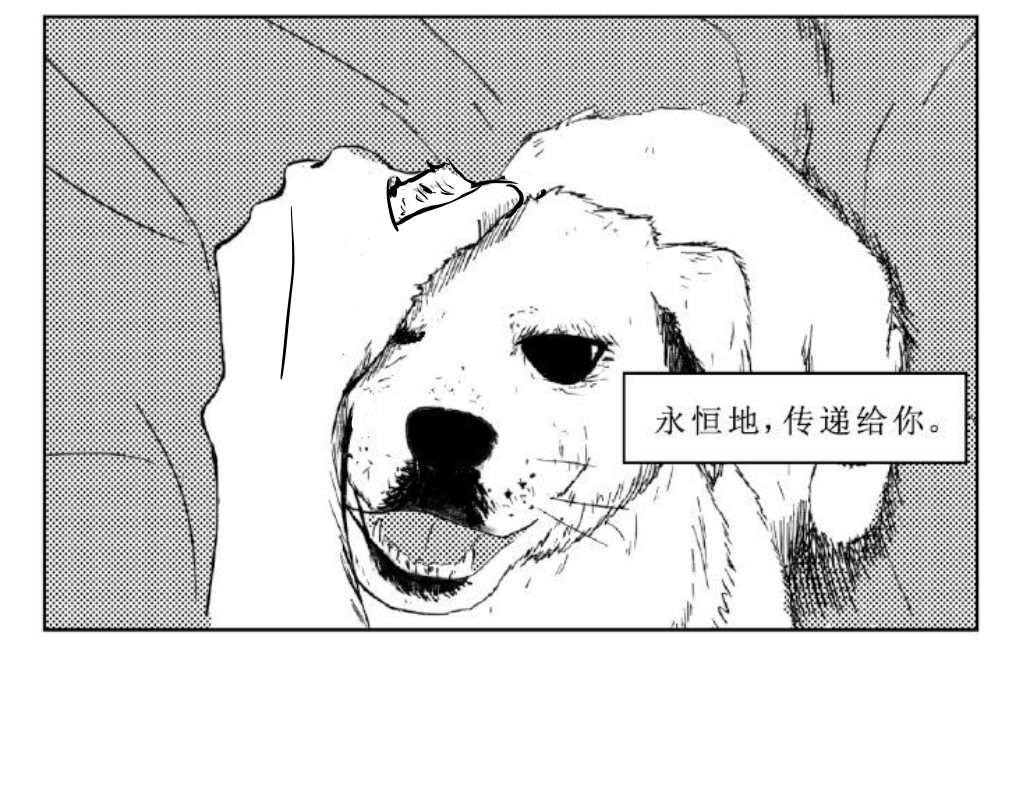 只影 三、视野与孤独 第8页