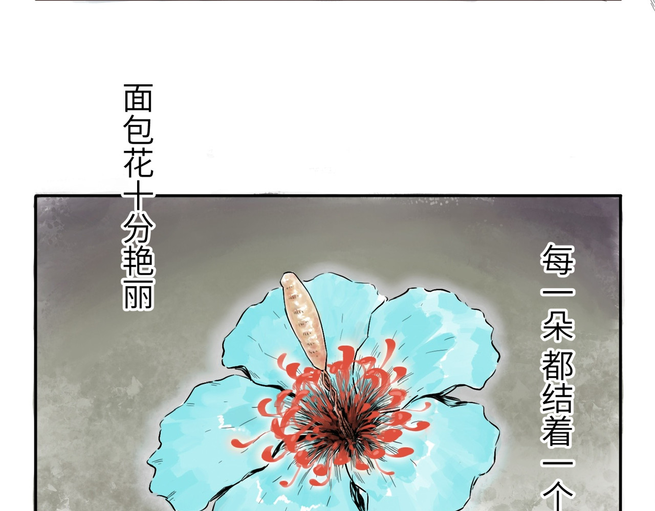 火把 第8页