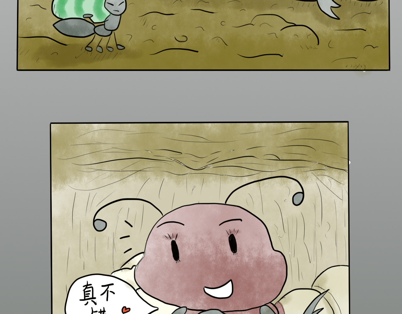 昆虫志 第5页