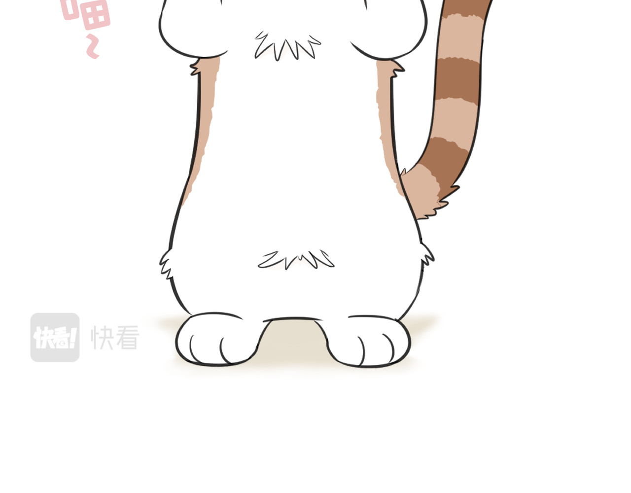 内卷成猫 我变成猫了？ 第10页