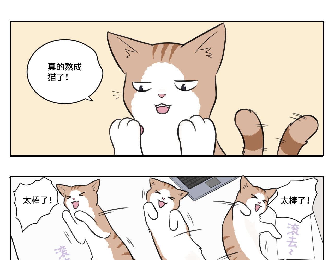 内卷成猫 我的老板是猫控？ 第1页