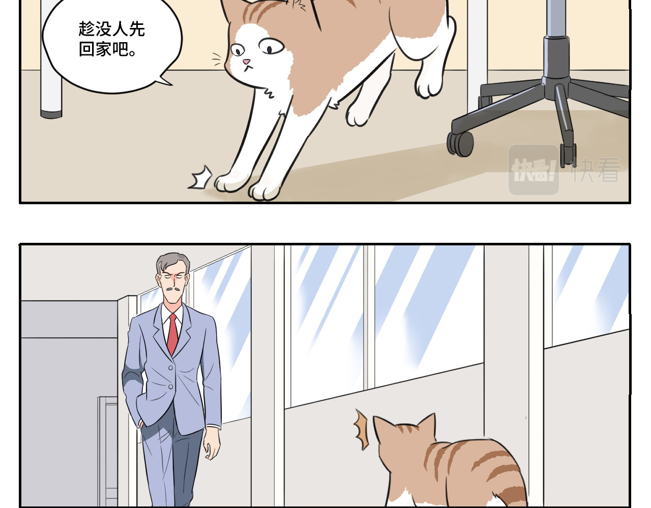 内卷成猫 我的老板是猫控？ 第3页