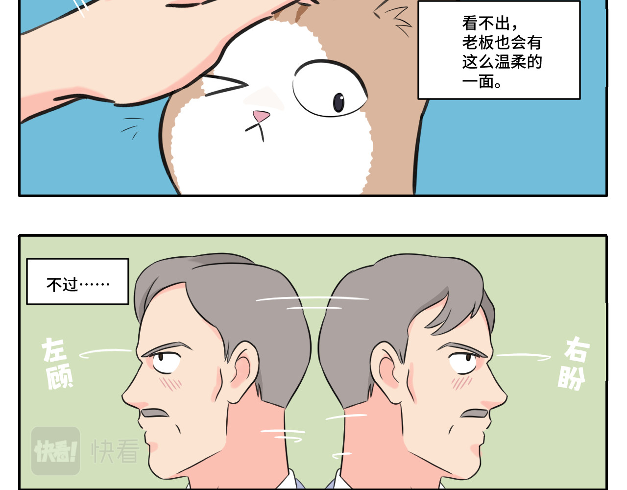 内卷成猫 我的老板是猫控？ 第6页