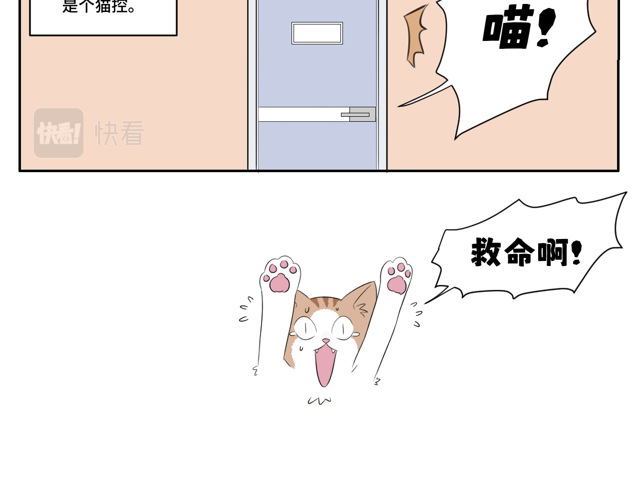 内卷成猫 我的老板是猫控？ 第10页