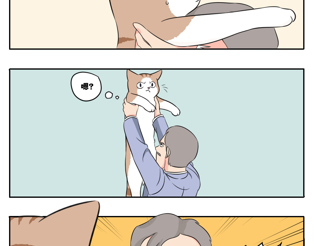 内卷成猫 脏话猫！ 第2页