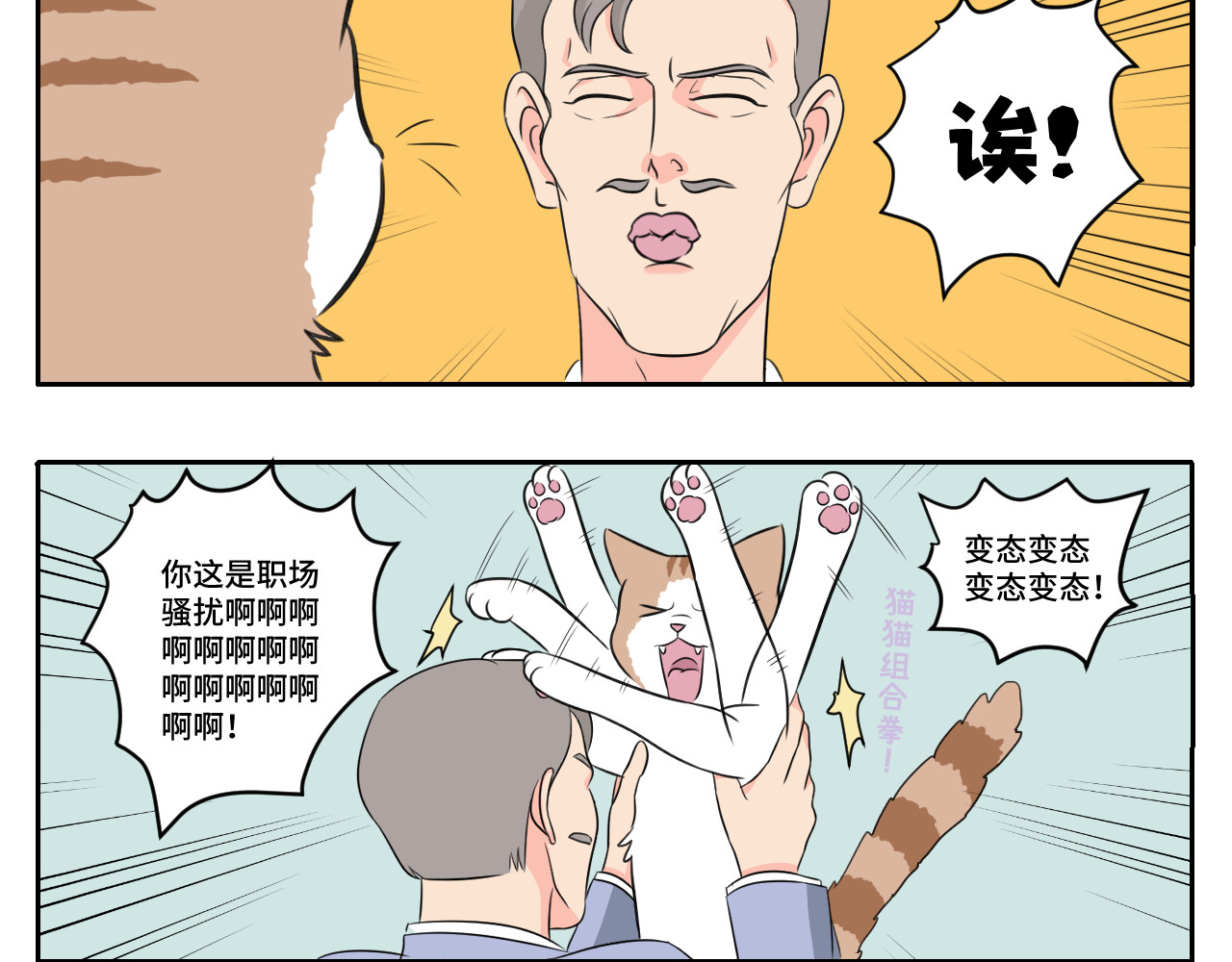 内卷成猫 脏话猫！ 第3页