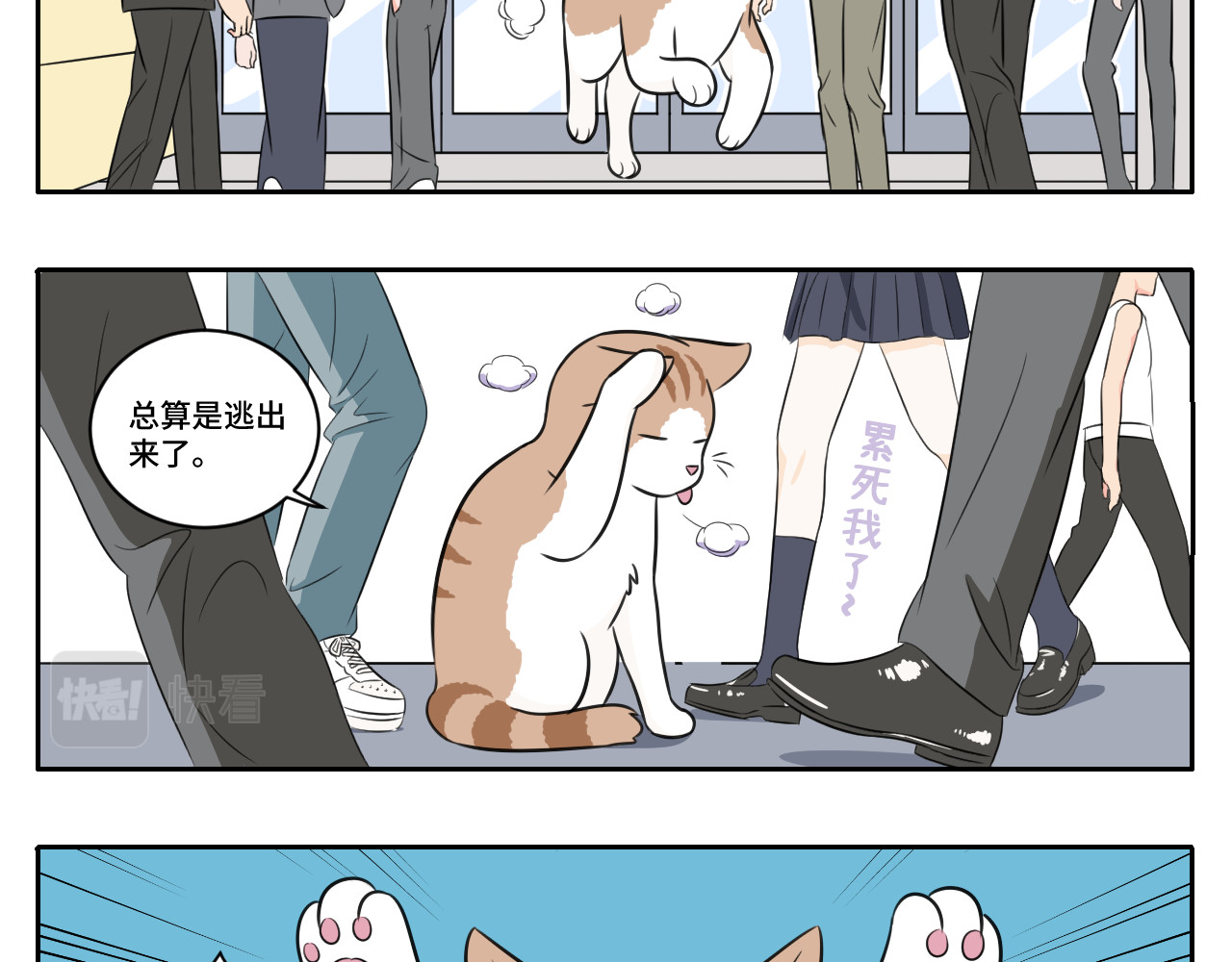 内卷成猫 脏话猫！ 第5页