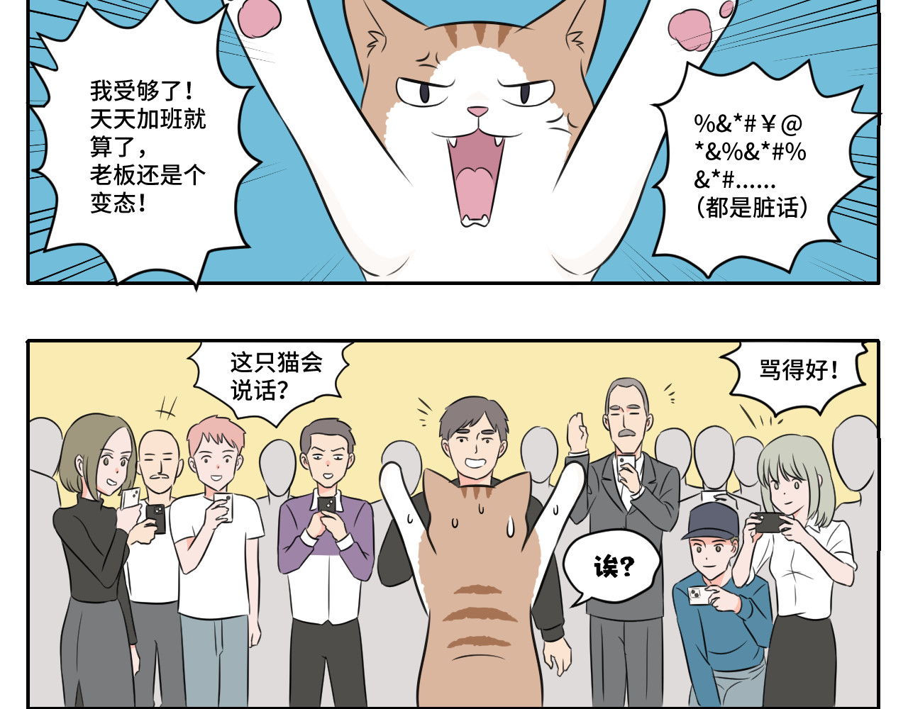 内卷成猫 脏话猫！ 第6页