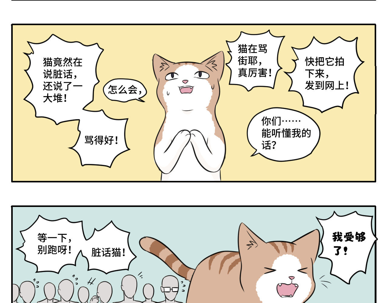内卷成猫 脏话猫！ 第7页